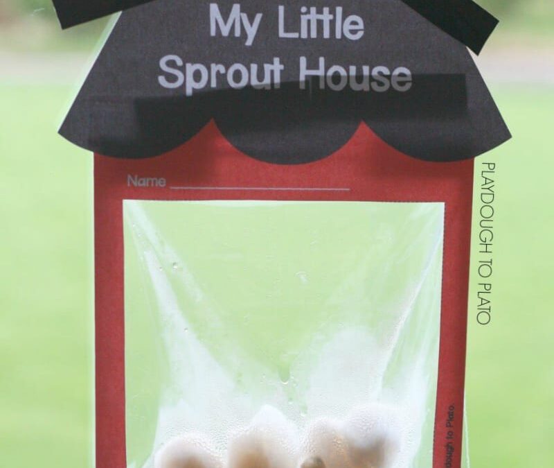 Build a Sprout House