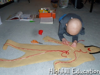 Circulatory System Model and Heart Function Exploration