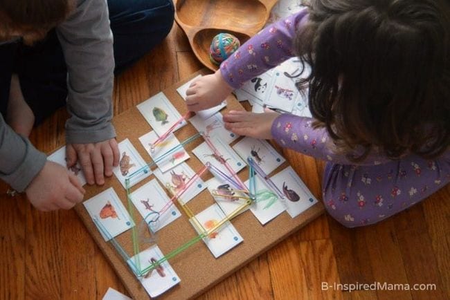 Connecting the Food Web with Rubber Bands