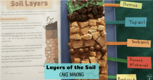 Edible Soil Layers Cake Experiment