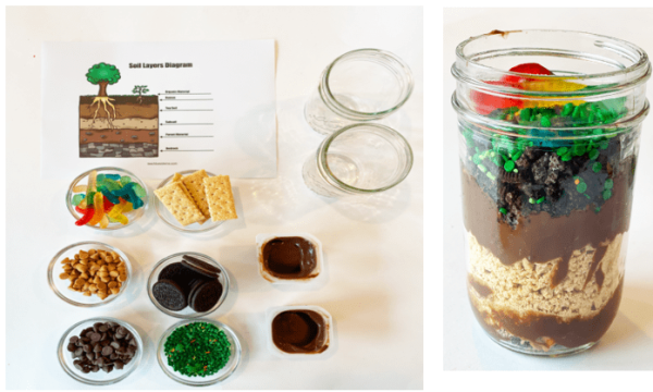 Edible Soil Layers Experiment