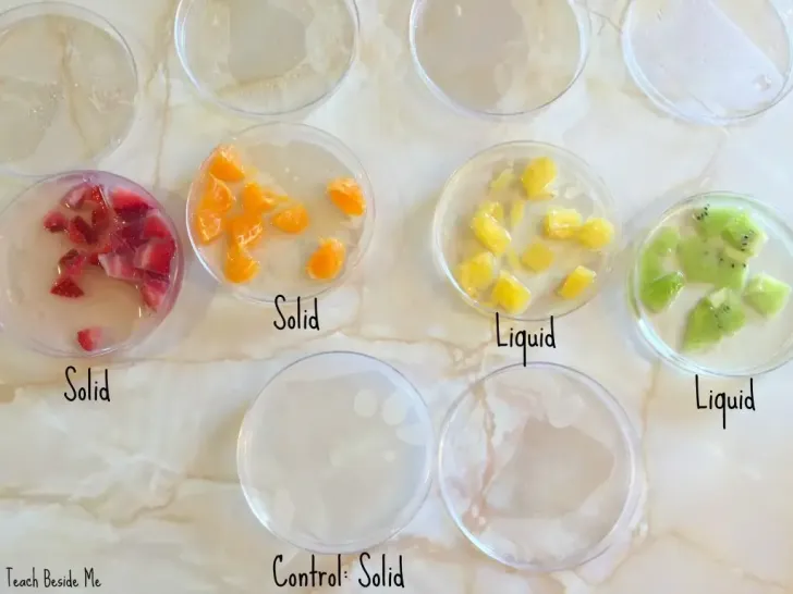 Fruit Enzymes Gelatin Experiment