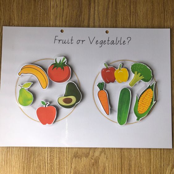 Fruit or Vegetable Sorting Activity