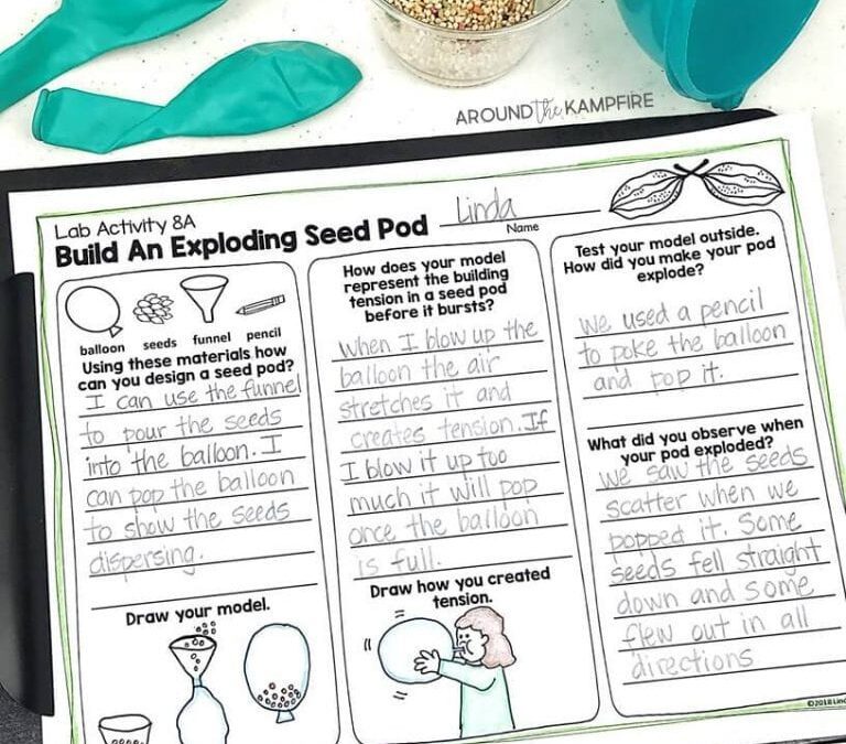 Make an Exploding Seed Pod