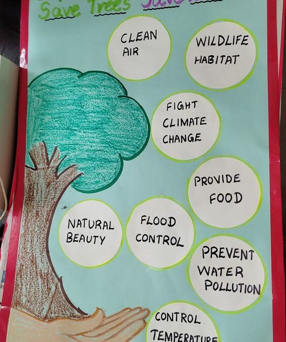 Soft Board Chart on the Importance of Trees