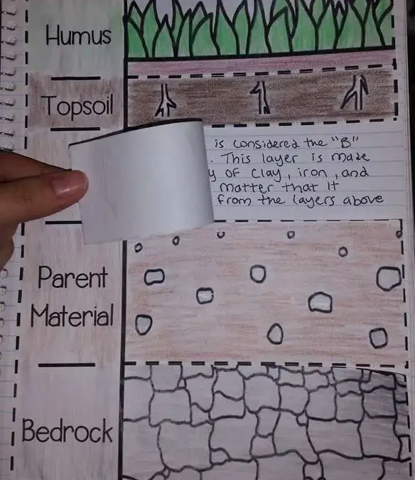 Soil Flaps Activity