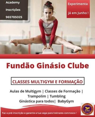 Ginástica livre